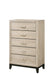 AKERSON CHEST DRIFT WOOD - Tony’s Furniture Store & Linen (GA) - Multi Location